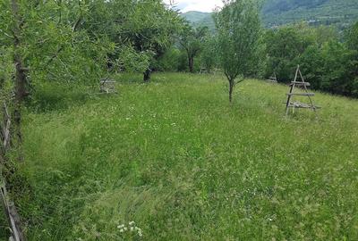 Teren de 1200 mp, în Valea Doftanei - 2