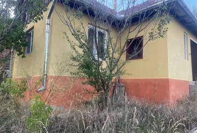 Casă cu 2 camere în Ormeniș - 5
