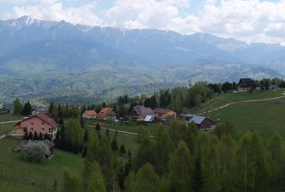 Vanzare 1266 mp teren superb Cheile Rasnoavei la munte langa padure si pensiuni