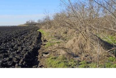Teren de 9999 mp, în Stâlpu