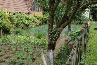 Casa off-grid 5 camere Sangatin - 2