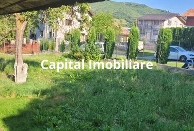 Casă cu Teren 1500 Mp în Valea Doftanei - 14