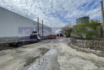 Spațiu industrial, de 19,300 mp, în Odăi - 26