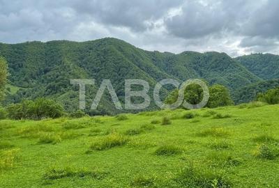Teren intravilan de vanzare in Martinia de sus