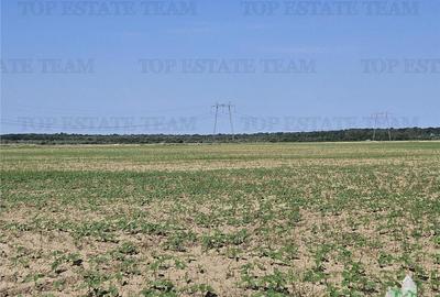 Teren cu pozitionare excelenta la A1, sensul Pitesti Bucure - 5