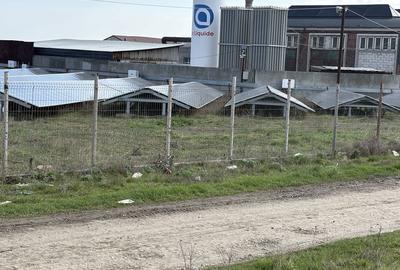 Spațiu comercial, în Lumina - 2