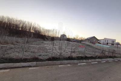 Teren Construcții intravilan de 1350 mp, în Plopu - 2