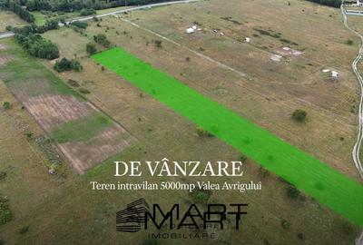 Teren Construcții intravilan de 5000 mp, în Central - 1