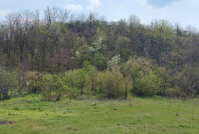 Teren intravilan 3109mp - 7