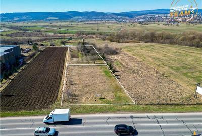 FILM! Doua terenuri intravilane,sursa proprie apa+constructie,langa DN,Sfantu Gheorghe, Covasna - 3