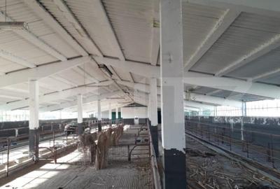 Teren de 950000 mp, în Central - 11