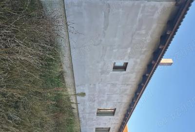 Casă cu 3 camere în Fibiș - 1