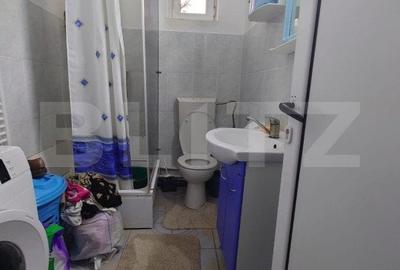 Vila individuala 200 mp si curte de 600 mp in zona Manta Rosie - 9