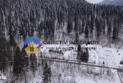 Teren de 2283 mp, în Tarcău - 11