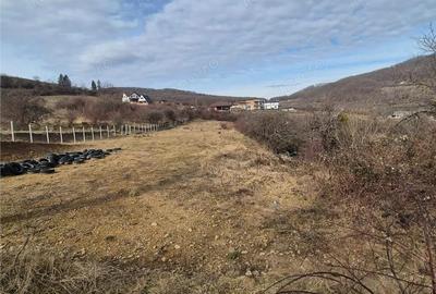 Teren de 3000 mp, în Nord - 6