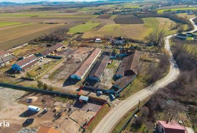 Spațiu comercial, de 820 mp, în Girișu de Criș - 19