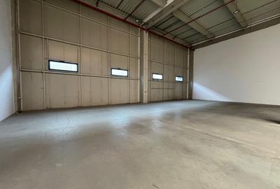 Spațiu industrial, de 15,000 mp, în Mogoșoaia - 6