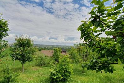 Teren intravilan - 2400 mp - 3 cabane din lemn - Lisaura