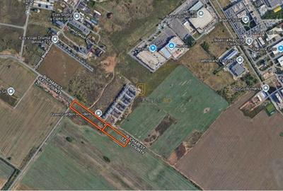 Teren intravilan 12.000 mp, Deschidere 242 ml, Jilava, Ilfov - 4