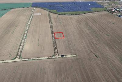 RECO Teren intravilan in LIvada de Bihor - 4