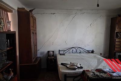 Casa si gradina cu livada 1683 mp - 48.500 euro - Topolovatu Mare - 18