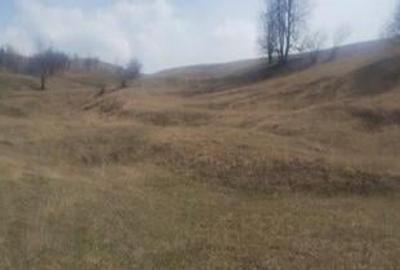 Teren de 5000 mp, în Brăești - 10