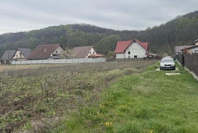 Spațiu comercial, în Bascov - 1