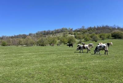 Spațiu comercial, în Central - 3