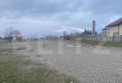 Teren de 8000 mp, în Cornu Luncii - 4