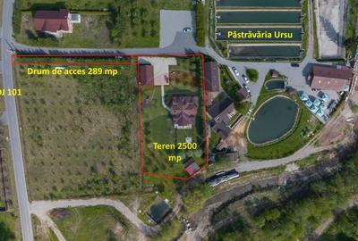 Casă individuală cu 10 camere cu Teren 2789 Mp în Glăjărie - 6