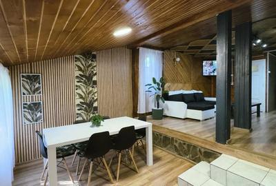 Casa de vacan?a renovata de vanzare in Vlahi?a - 4