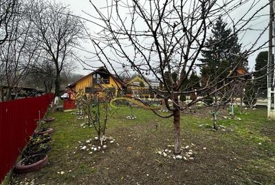 Casă individuală cu 3 camere cu Canalizare în Gheorghe Doja - 14