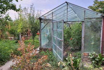 Casă cu 5 camere în Jimbolia - 3