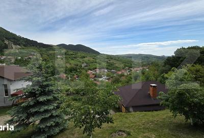 Casă cu 3 camere cu Teren 4300 Mp în Meteș - 8