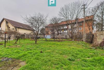 Două case, curte mare, lângă Castelul Corvinilor - 64