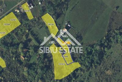 Teren Construcții intravilan de 2098 mp, în Nucet - 4