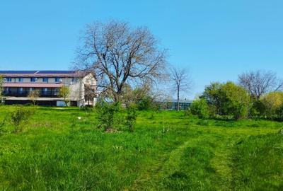 Teren intravilan de 10000 mp, în Grădiștea - 13