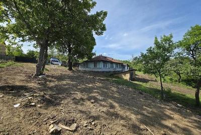 Casă cu Teren 1829 Mp în Erbiceni