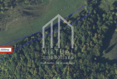 Teren extravilan de vanzare 15,600 mp zona loc... Hamba - 6