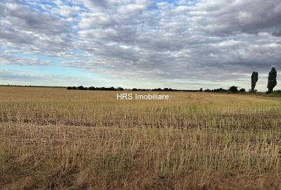 Teren intravilan Branesti - 2