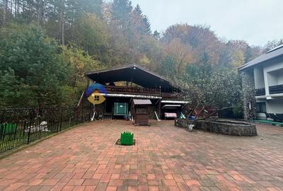 Casa cu posibilitate transformare in pensiune si teren de vanzare Piatra Neamt - 9