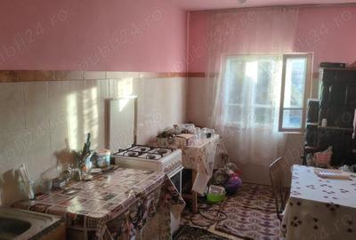 Casă cu Teren 5000 Mp în Roșia de Amaradia - 2