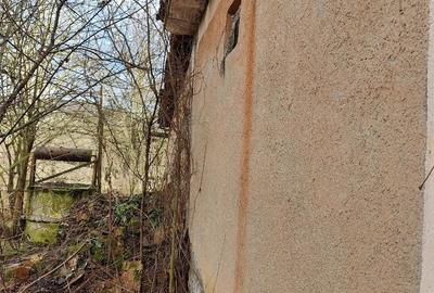 Casă cu 3 camere cu Teren 2000 Mp în Laslău Mare - 10