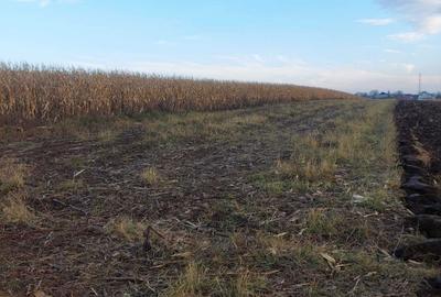 Teren de 3000 mp, în Bosanci - 3