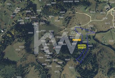 Teren de vanzare in Fundata, jud. Brasov – view superb, oportunitate investitie! - 4