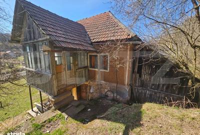Spațiu comercial, în Almașu Mare - 7