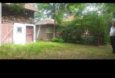 Casă cu 6 camere cu Teren 4000 Mp în Petrești - 4