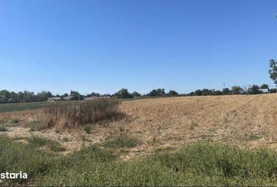 Teren de 4000 mp, în Roseți - 1