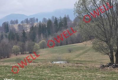 Teren de 2702 mp, în Vama Buzăului - 3