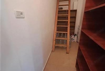 Casa individuala pe parter Sagului-Liviu Rebreanu - 9